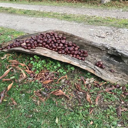 Nocleg ze śniadaniem Palazzo A Merse 3*
